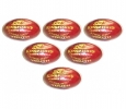 BDM King Fisher League Leather Cricket Ball 6 Ball Set